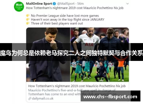 魔鸟为何总是依赖老马探究二人之间独特默契与合作关系